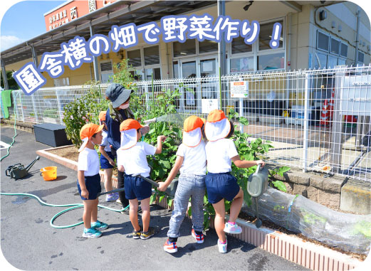 園舎横の畑で野菜作り!