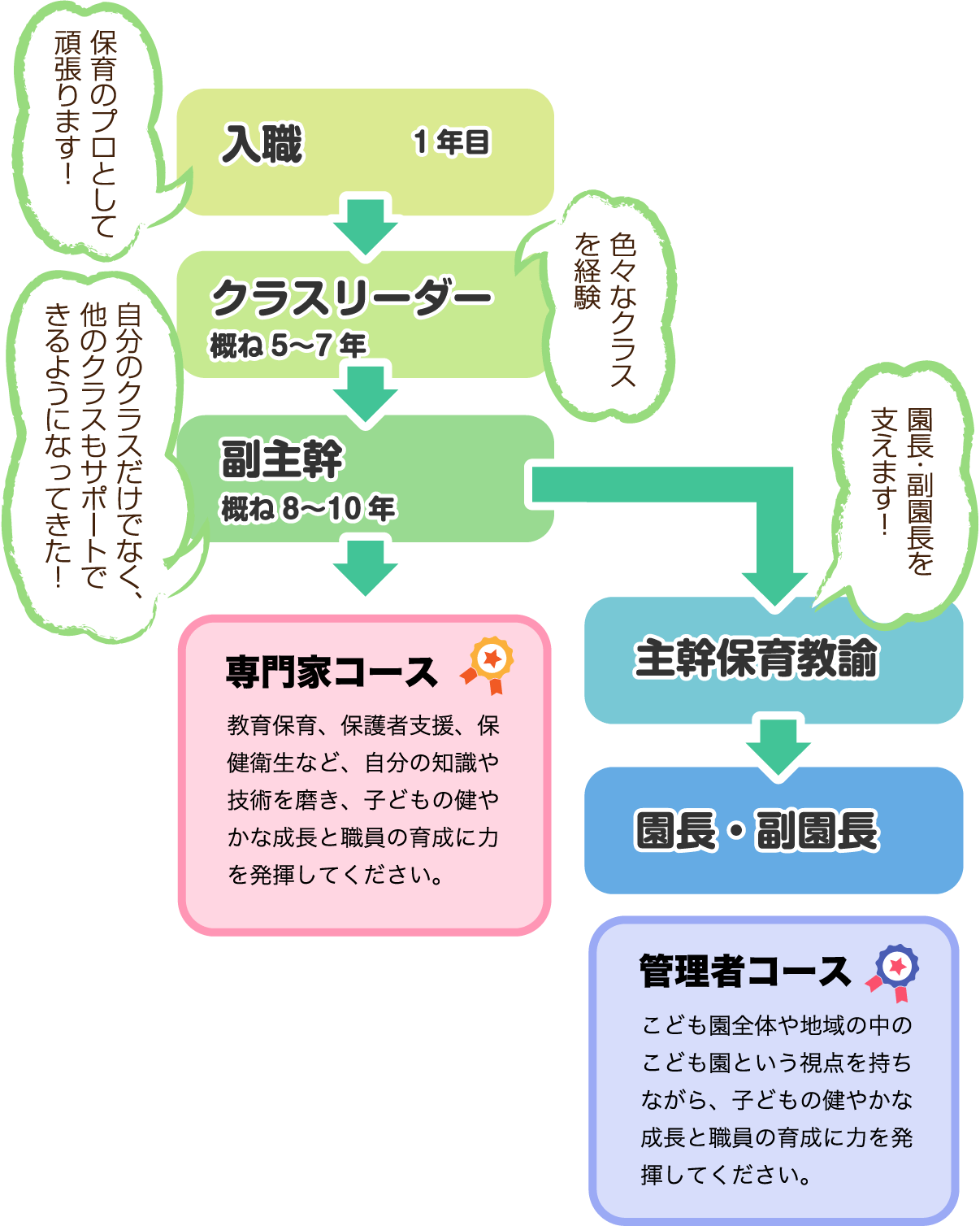 入職1年目「保育のプロとして頑張ります！」→クラスリーダー概ね5〜7年「色々なクラスを経験」→副主幹概ね8〜10年「自分のクラスだけでなく、他のクラスもサポートできるようになってきた!」→専門家コース　教育保育、保護者支援、保健衛生など、自分の知識や技術を磨き、子どもの健やかな成長と職員の育成に力を発揮してください。／主幹保育教諭「 園長・副園長を支えます!」→園長・副園長　管理者コース　こども園全体や地域の中のこども園という視点を持ちながら、子どもの健やかな成長と職員の育成に力を発揮してください。